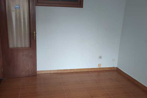 VN00559