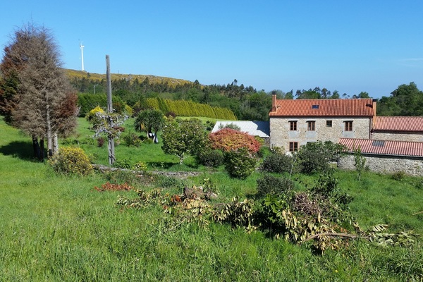 VN00534